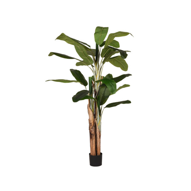 0Kunstplant Musa 110x110x180 cm Vooraanzicht